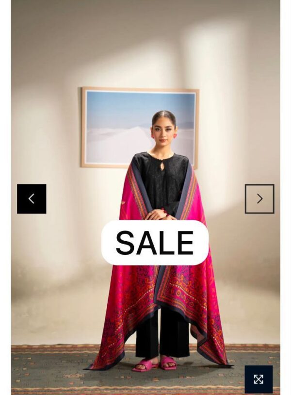 PHULKARI 3pc Fancy in Summer Collection